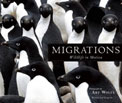 Migrations: Wildlife in Motion